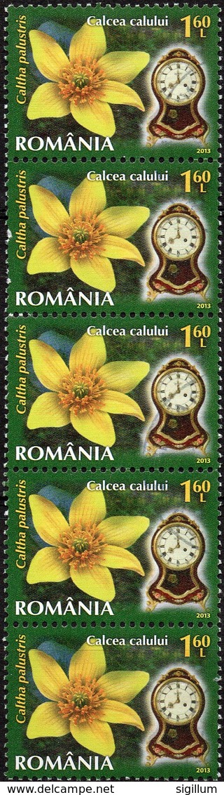 ROMANIA 2013 - FIORI E OROLOGI - 5 VALORI USATI - Used Stamps