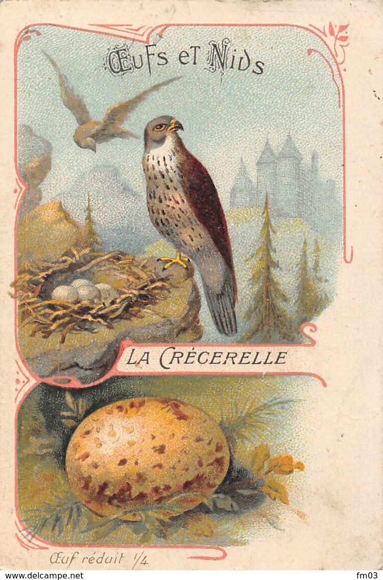 Chromo Oeufs Et Nids Faucon Crécerelle - Oiseaux