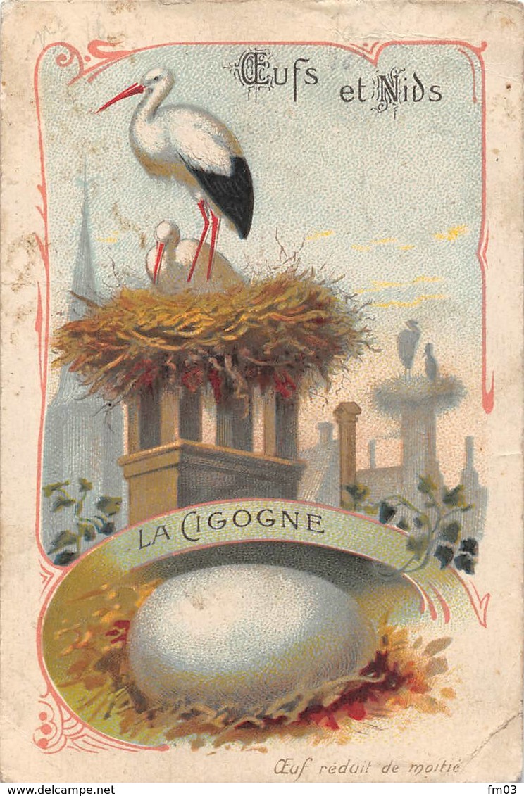 Chromo Oeufs Et Nids Cigogne - Oiseaux