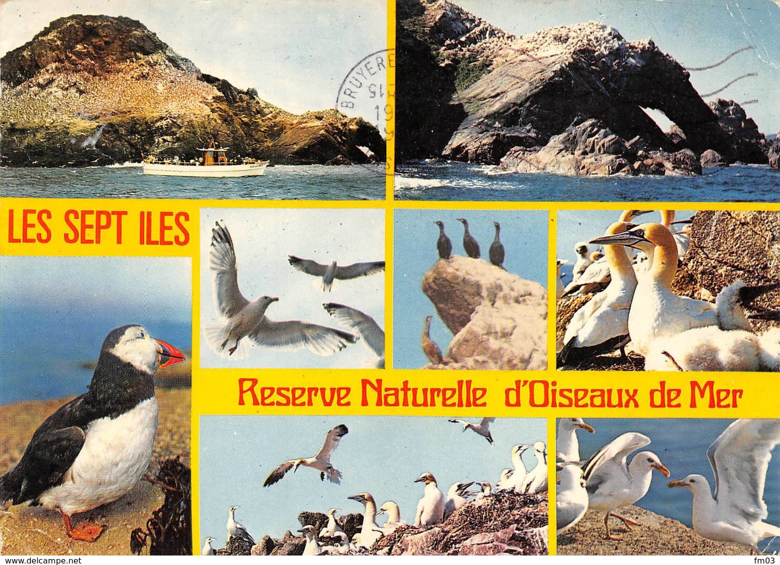 Réserve Les Sept îles île Rouzic Perros Guirec - Oiseaux