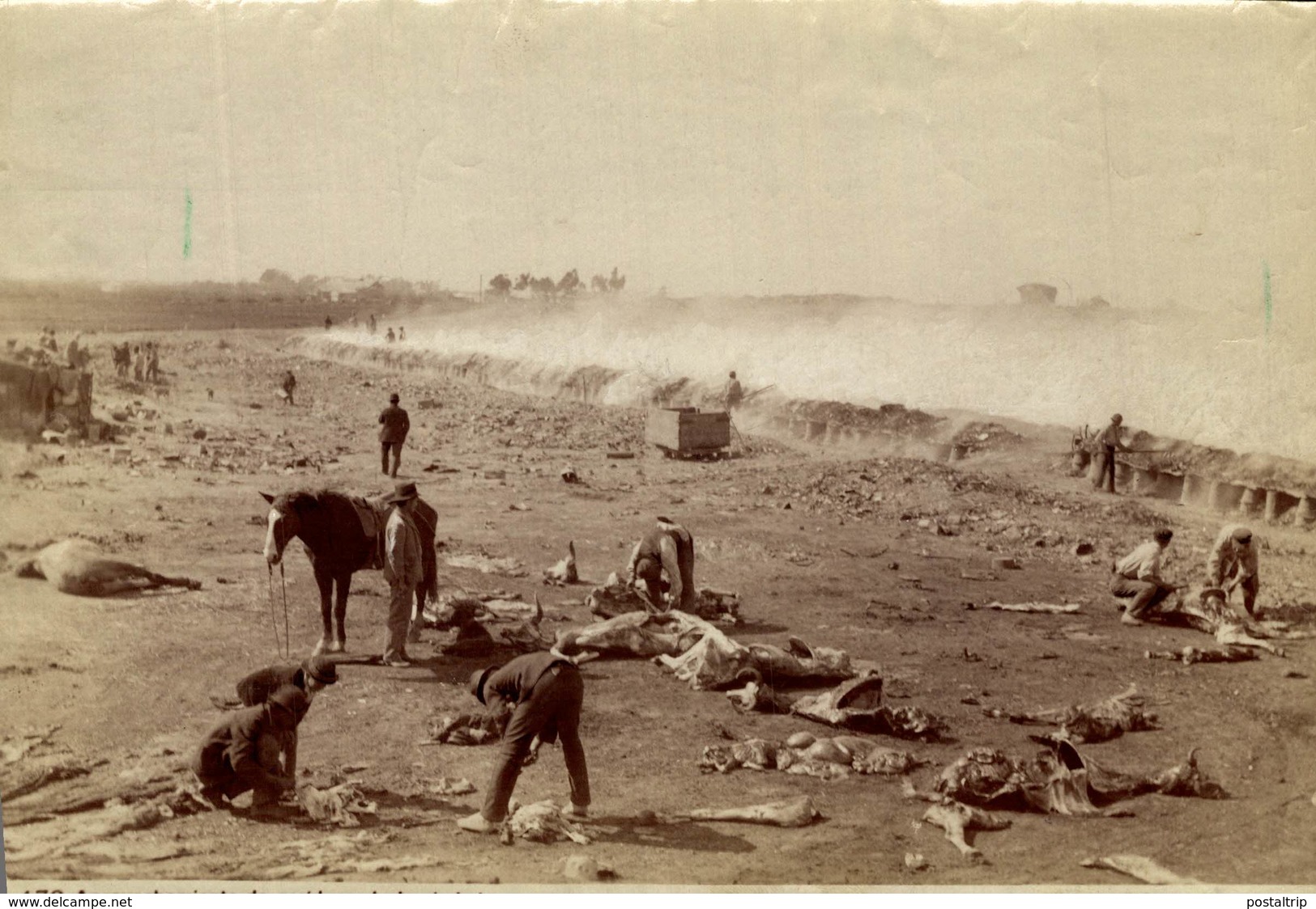 ARGENTINA BUENOS AIRES APROVECHAMIENTO DE RESIDUOS DE LA CIUDAD  +- 20*15CM Fonds Victor FORBIN (1864-1947) - Lugares