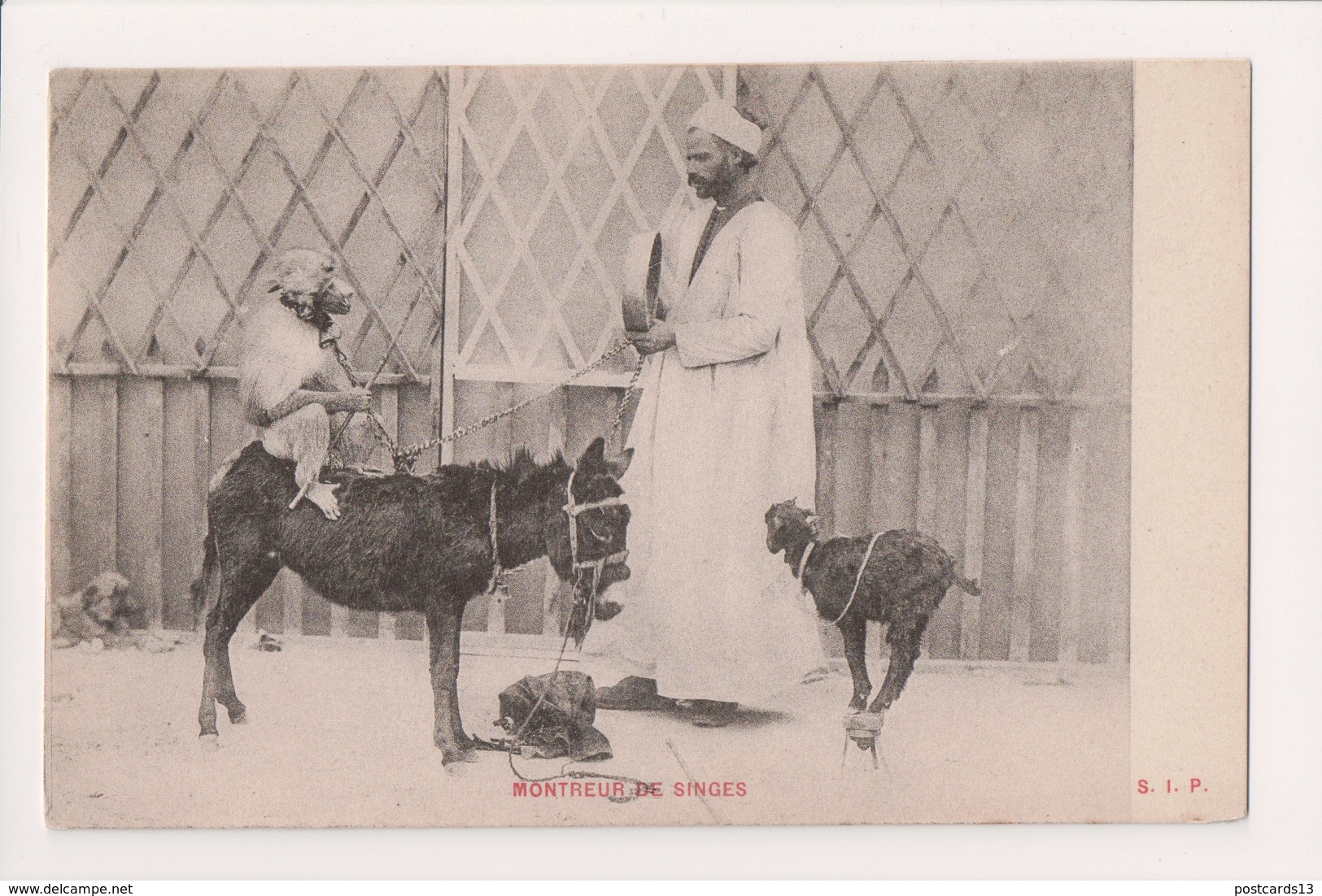 K-717 Egypt Monkey Show Donky Goat Circus Show Montreur De Singes Postcard - Unclassified