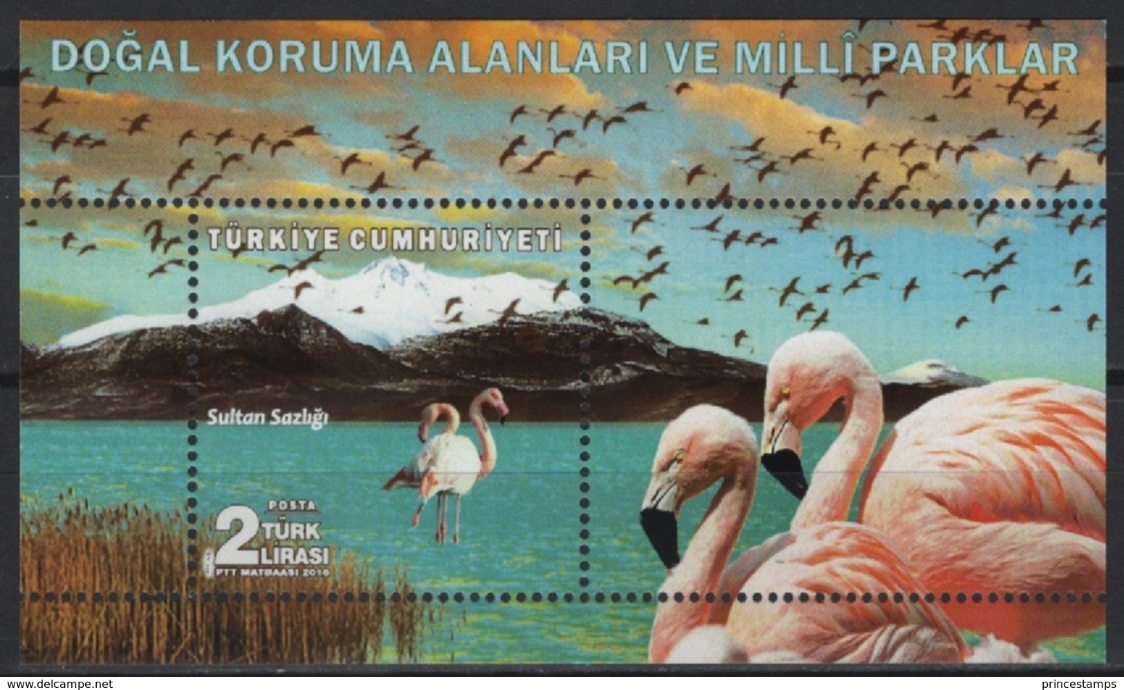 Turkey (2018) - Block -  /  Aves - Birds - Oiseaux - Vogel - Autres & Non Classés