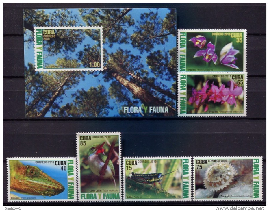 Cuba 2010 / Flowers Insects Birds MNH Flores Pájaros Insectos Blumen Vögel Insekten / Cu14214  41-36 - Otros & Sin Clasificación