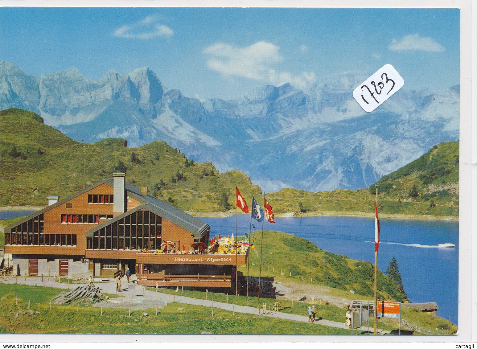 Lot - L334- SUISSE - Lot belle sélection  40 CPM GF diverses  ( voir scans et description)