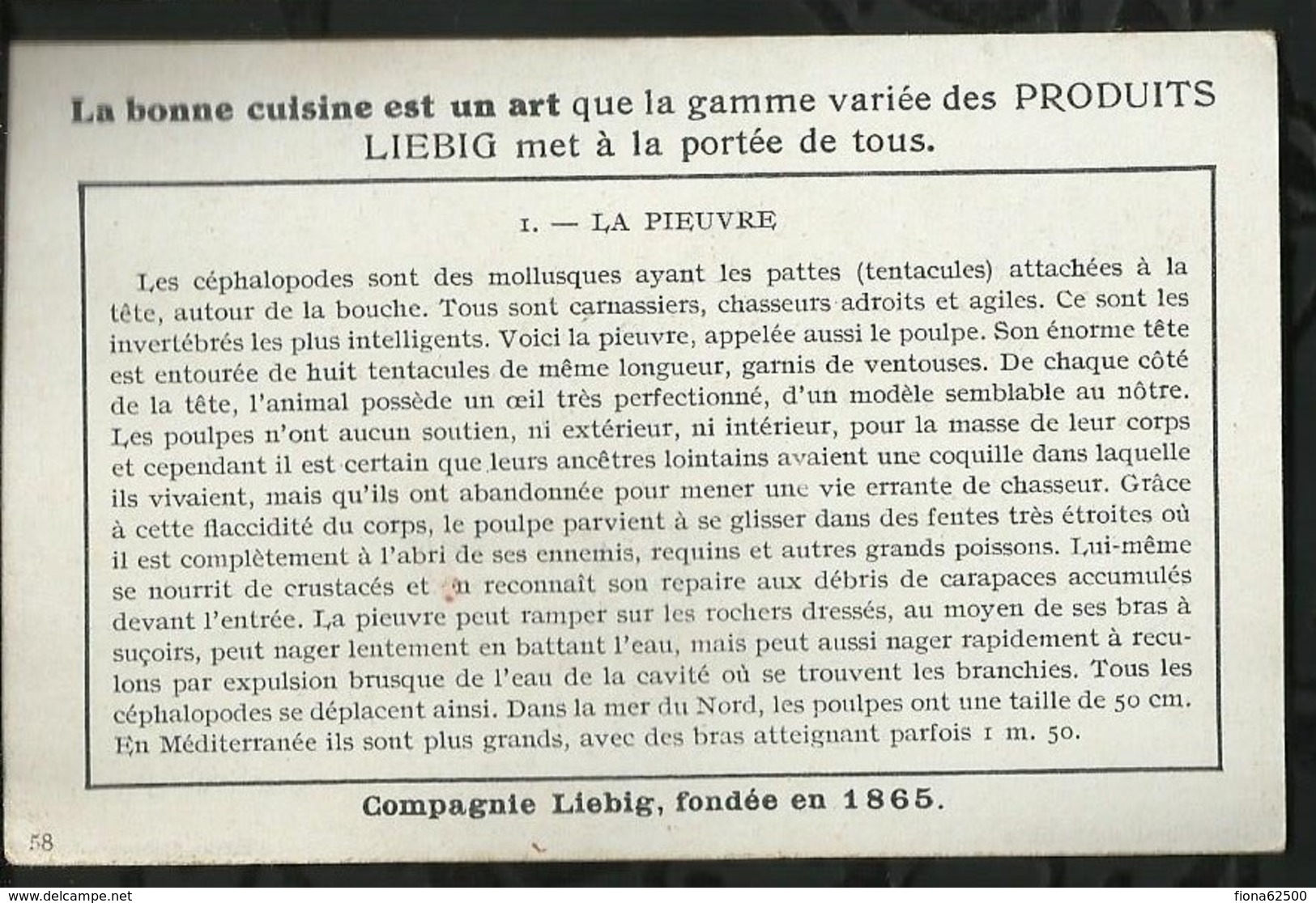 CHROMO LIEBIG . LES CEPHALOPODES . LA PIEUVRE . - Liebig