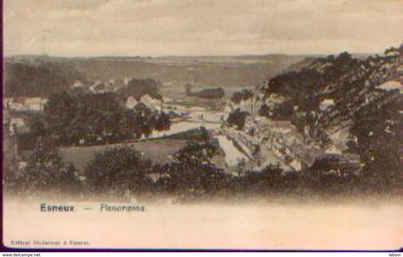 ESNEUX « Panorama » Ed. Bicheroux, Esneux (1902) - Esneux