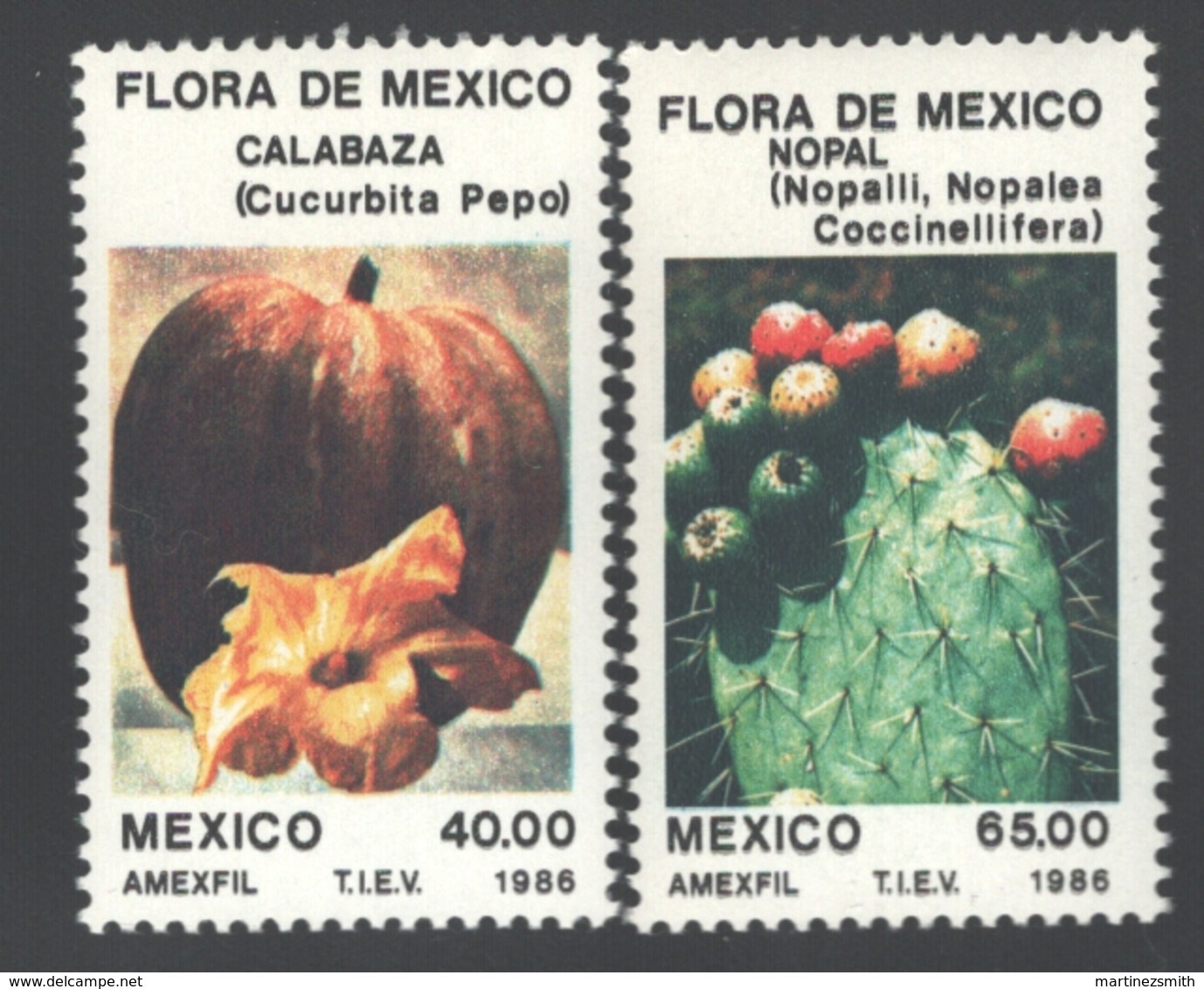 Mexico - Mexique 1986 Yvert 1147-48, Flowers Of Mexico - MNH - México