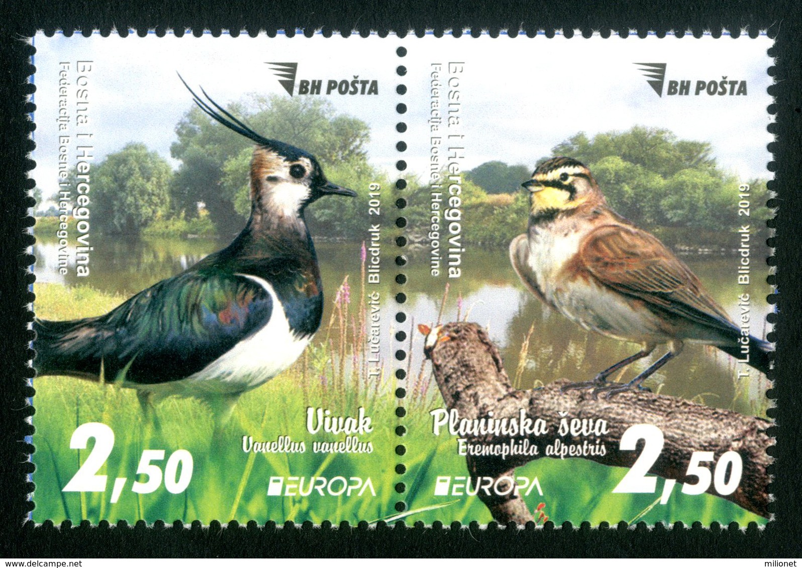 BOSNIA HERZEGOVINA MAIN POST (SARAJEVO) 2019 EUROPA BIRDS 2 Stamps Se-tenant MNH ** - 2019