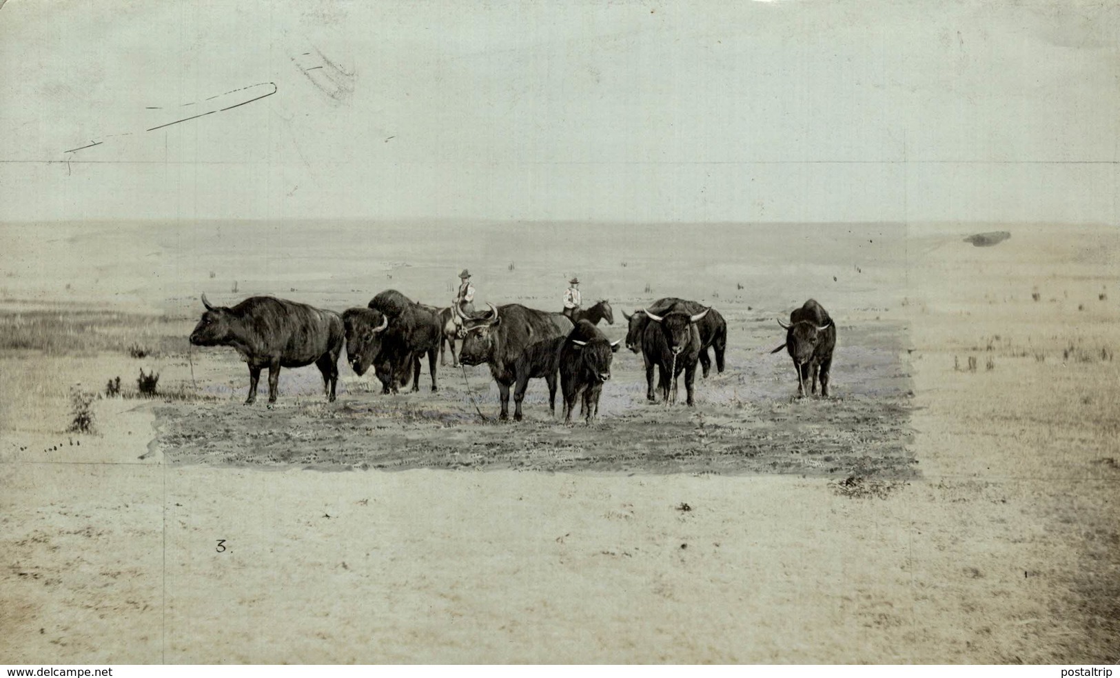 BISONS   BUFFALO BISON +- 20*12CM Fonds Victor FORBIN (1864-1947) - Otros & Sin Clasificación