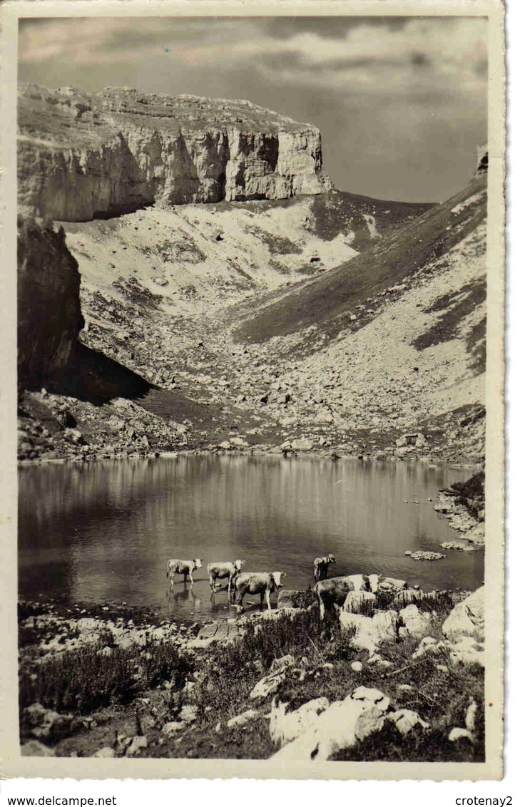 Vaud Leysin N°386 Lac De Mayen Et Les Tours D'Aï Troupeau De Vaches En 1953 - Leysin