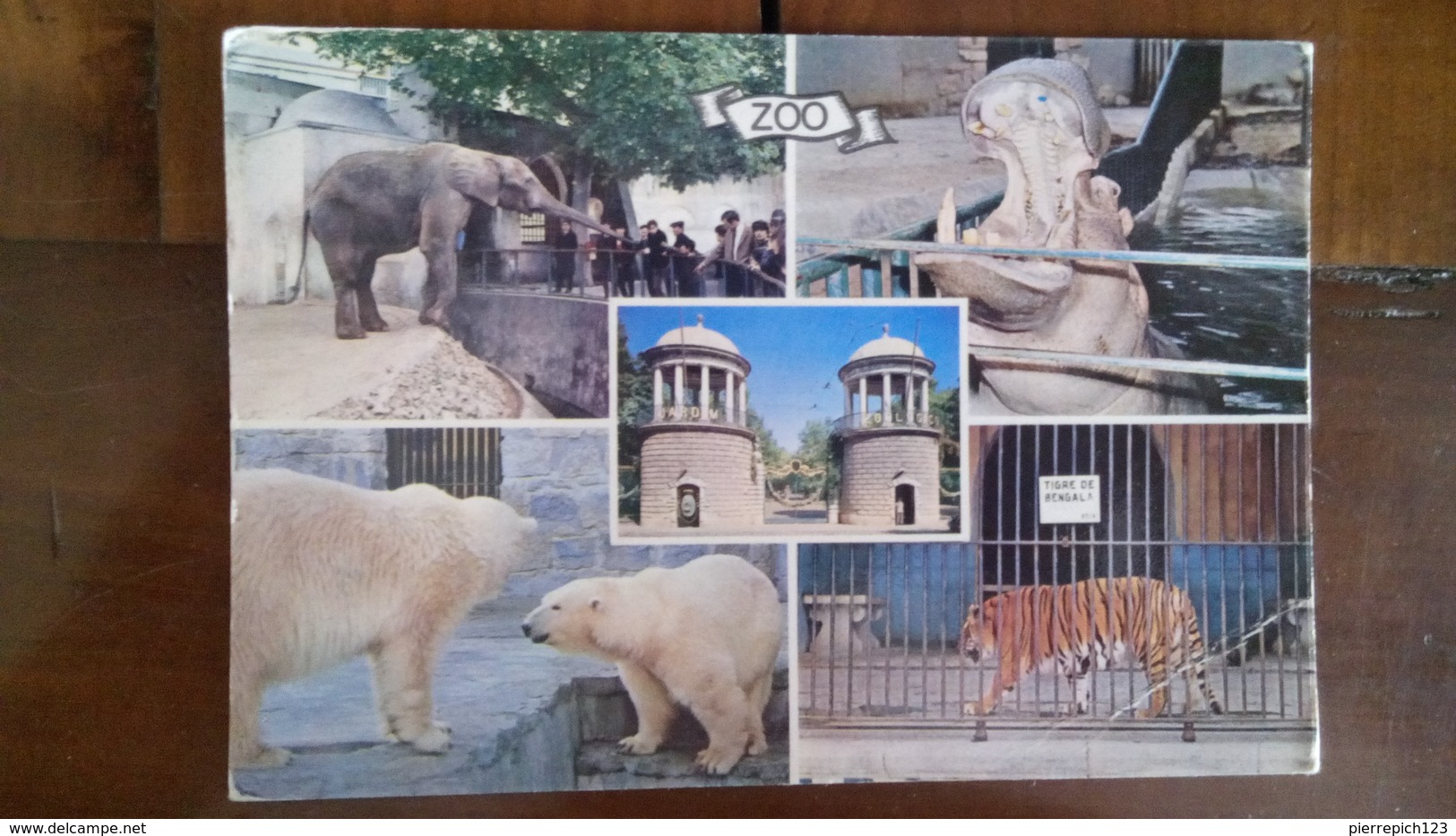 Lisbonne - Zoo - Multivues - Lisboa