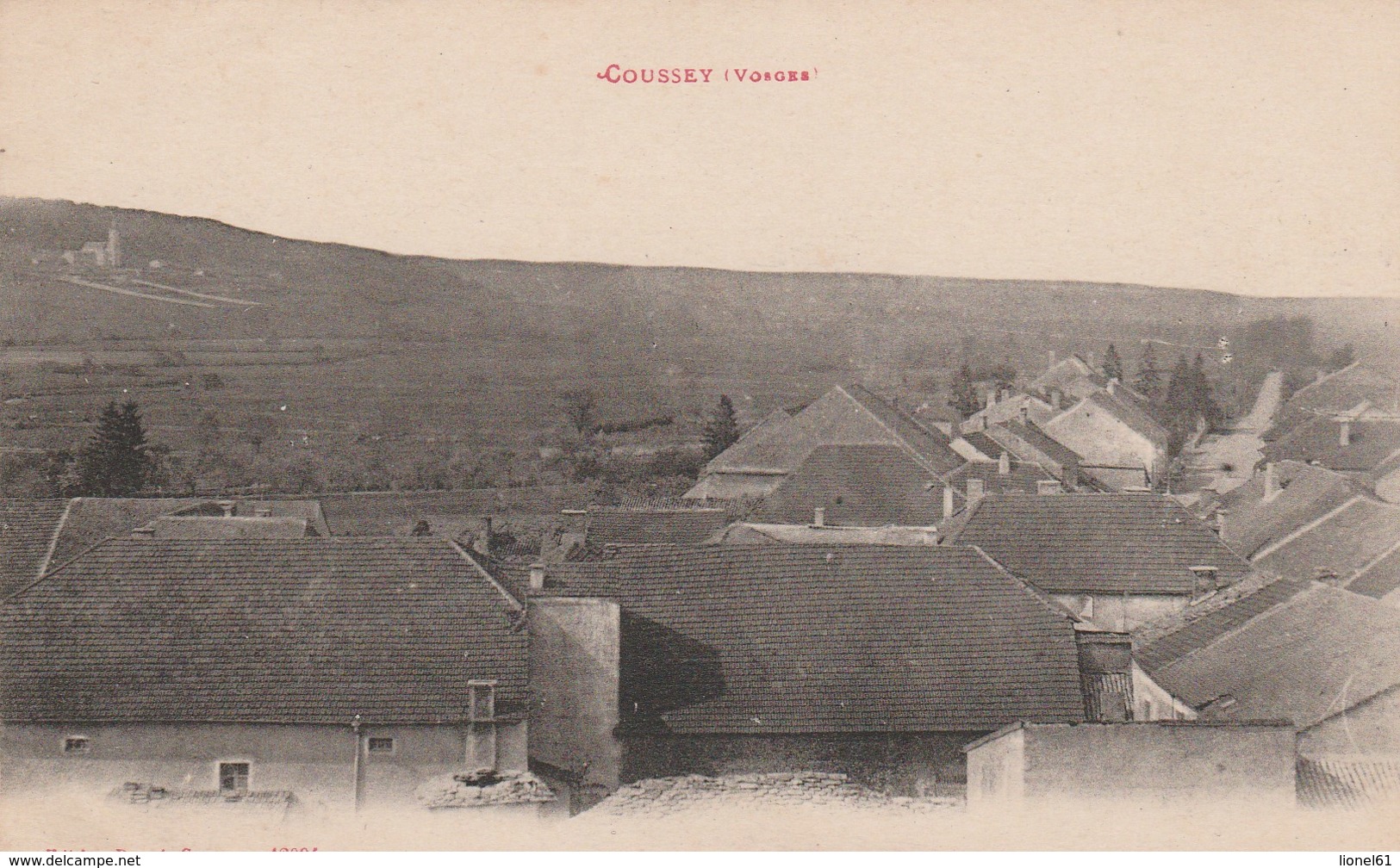 COUSSEY : (88) Vue Du Village Prise Du Clocher - Coussey