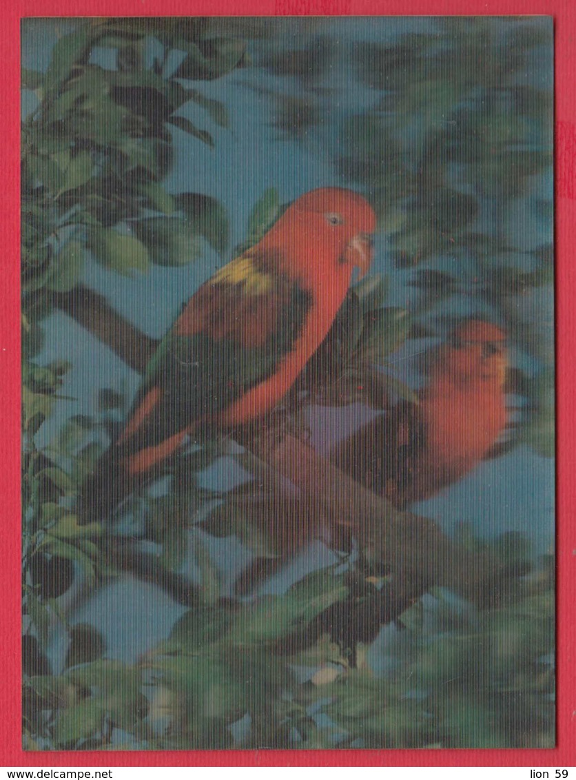 245318 / 3D STEREO Lenticular Picture - LANDSCAPE - TREE ANIMAL BIRD Parrot , TOMITA Co. JAPAN - Cartes Stéréoscopiques