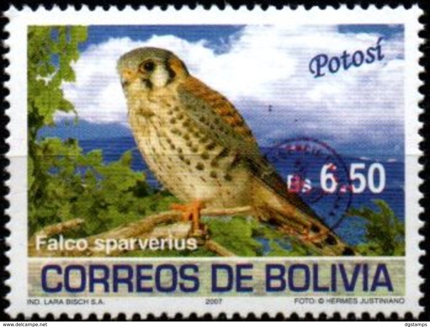 Bolivia 2018 ** CEFIBOL 2356 Falco Sparverius  Emision ECOBOL 2007 Habilitadas Para Uso En Tarija. - Bolivia