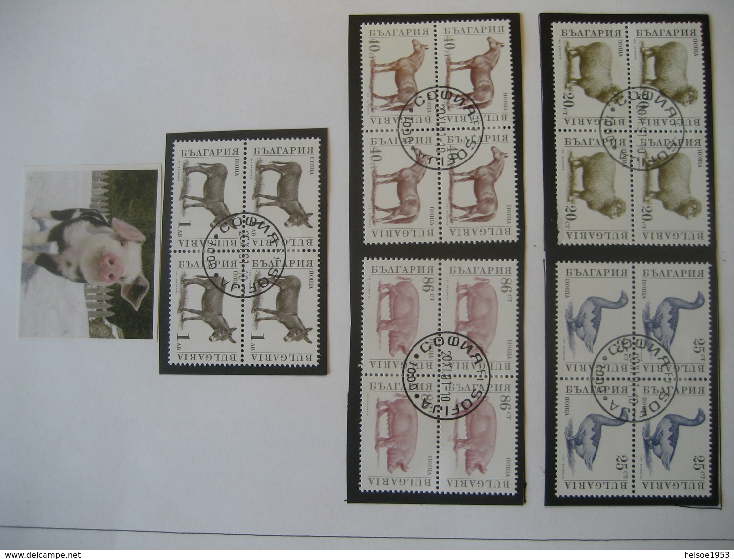 Bulgarien 1991- Haustiere Viererblock Mi. 3923-3927 - Used Stamps