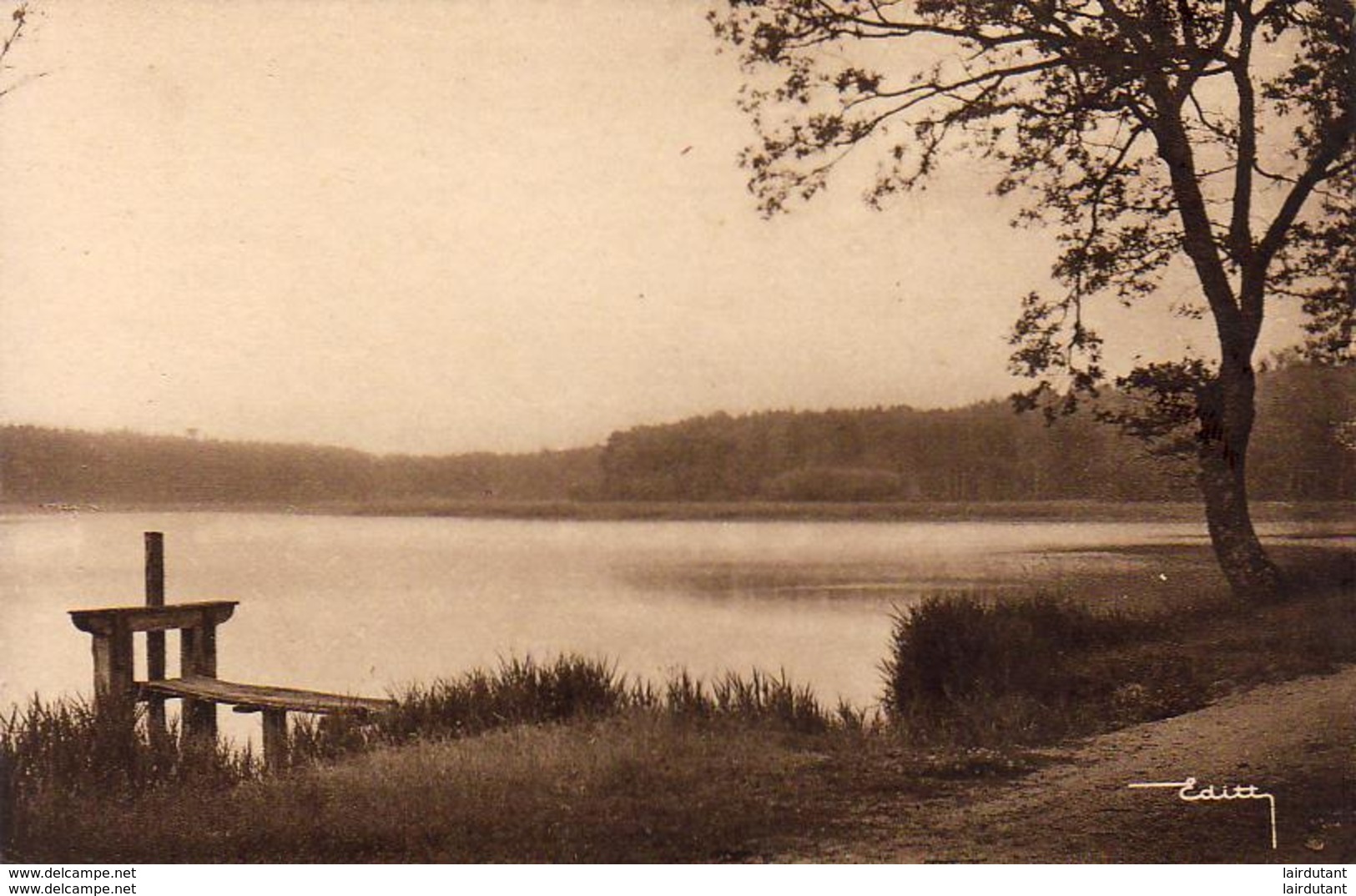 D41  MUR DE SOLOGNE  Etang De La Morinière   ..... - Autres & Non Classés