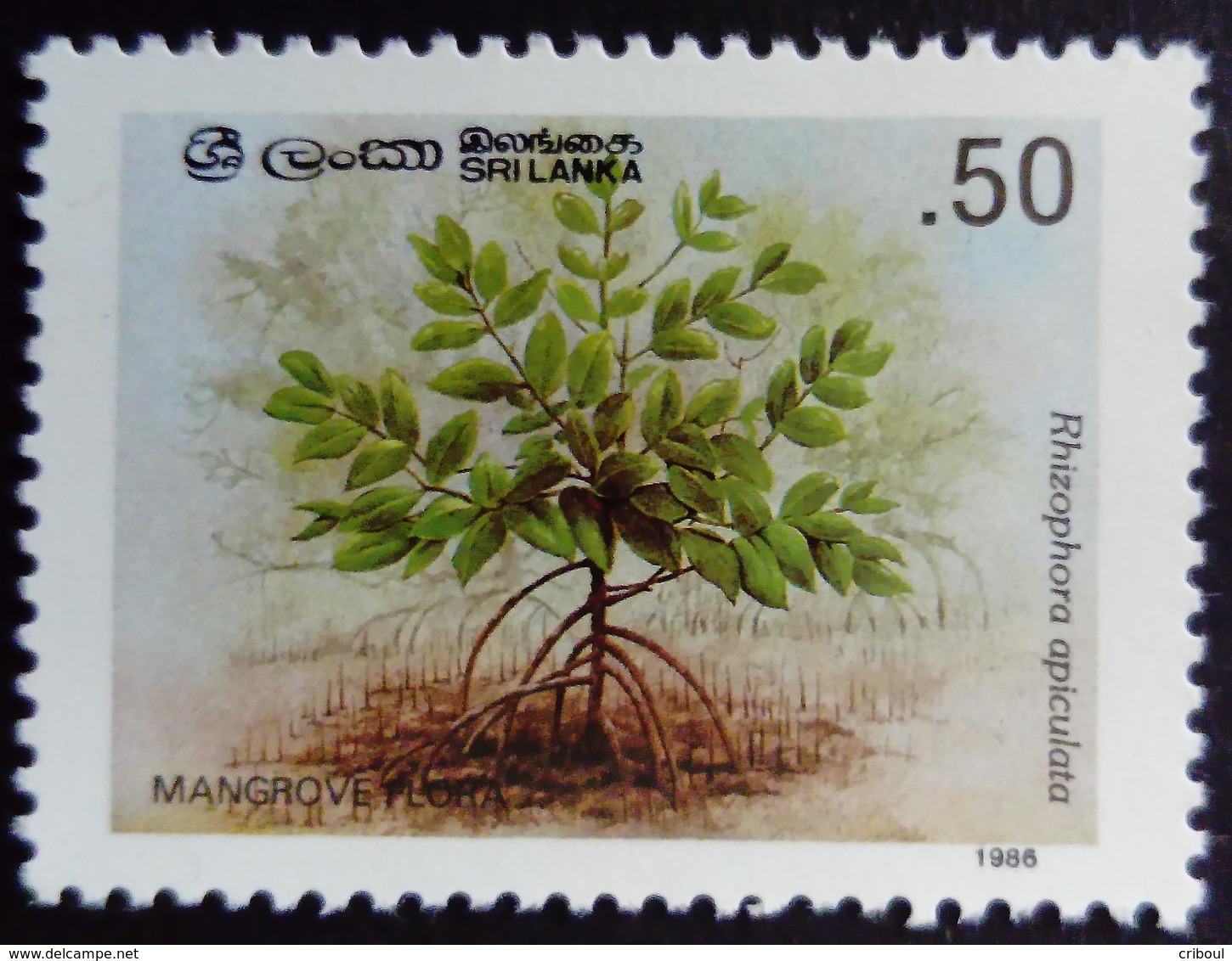 Sri Lanka 1986 Fleur Flower Mangrove Yvert 782 ** MNH - Sri Lanka (Ceylon) (1948-...)