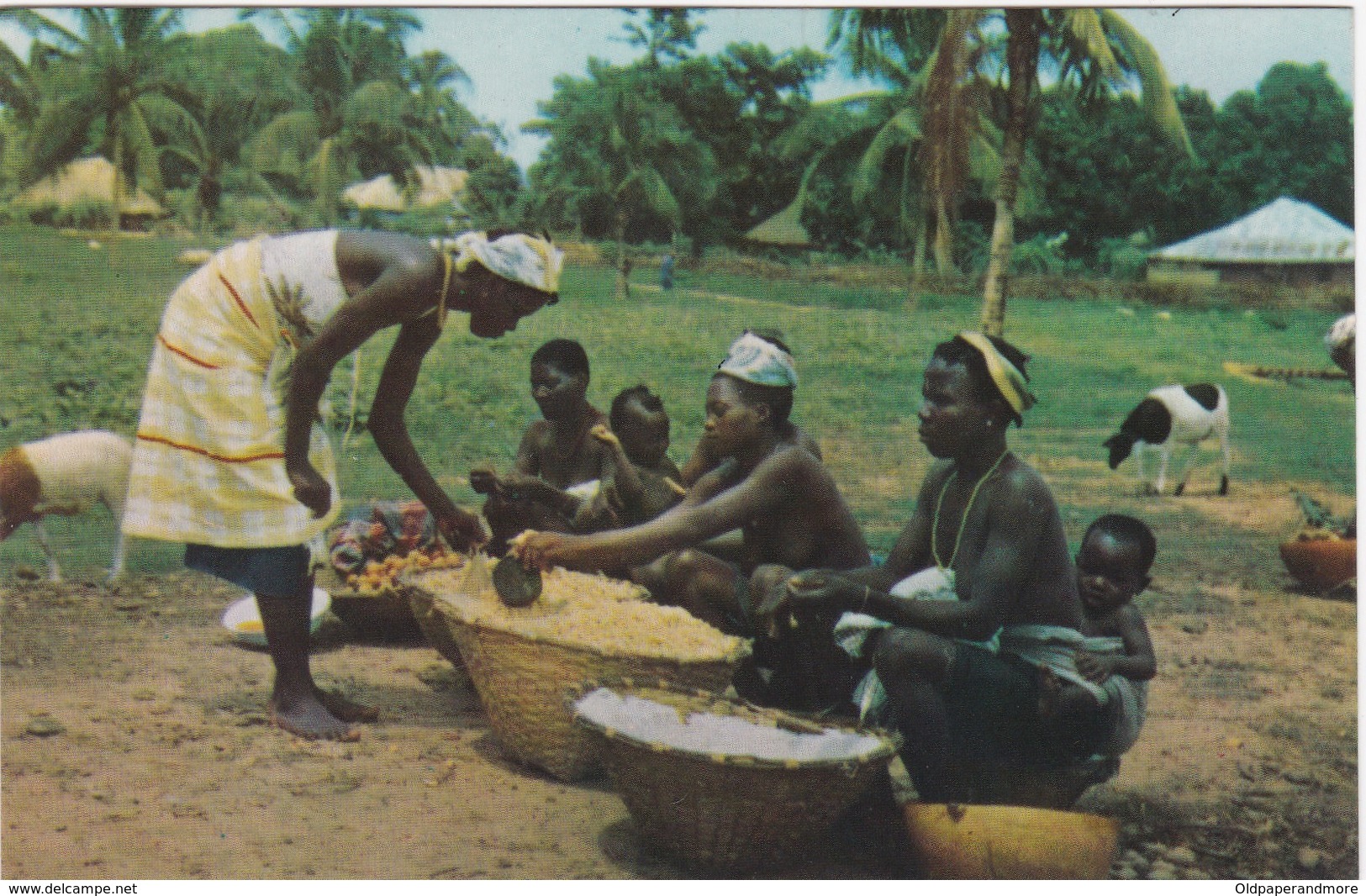 POSTCARD PORTUGAL - PORTUGUESE GUINEA - GUINÉ - MERCADO NATIVO  DE  BISSAU - Guinea Bissau