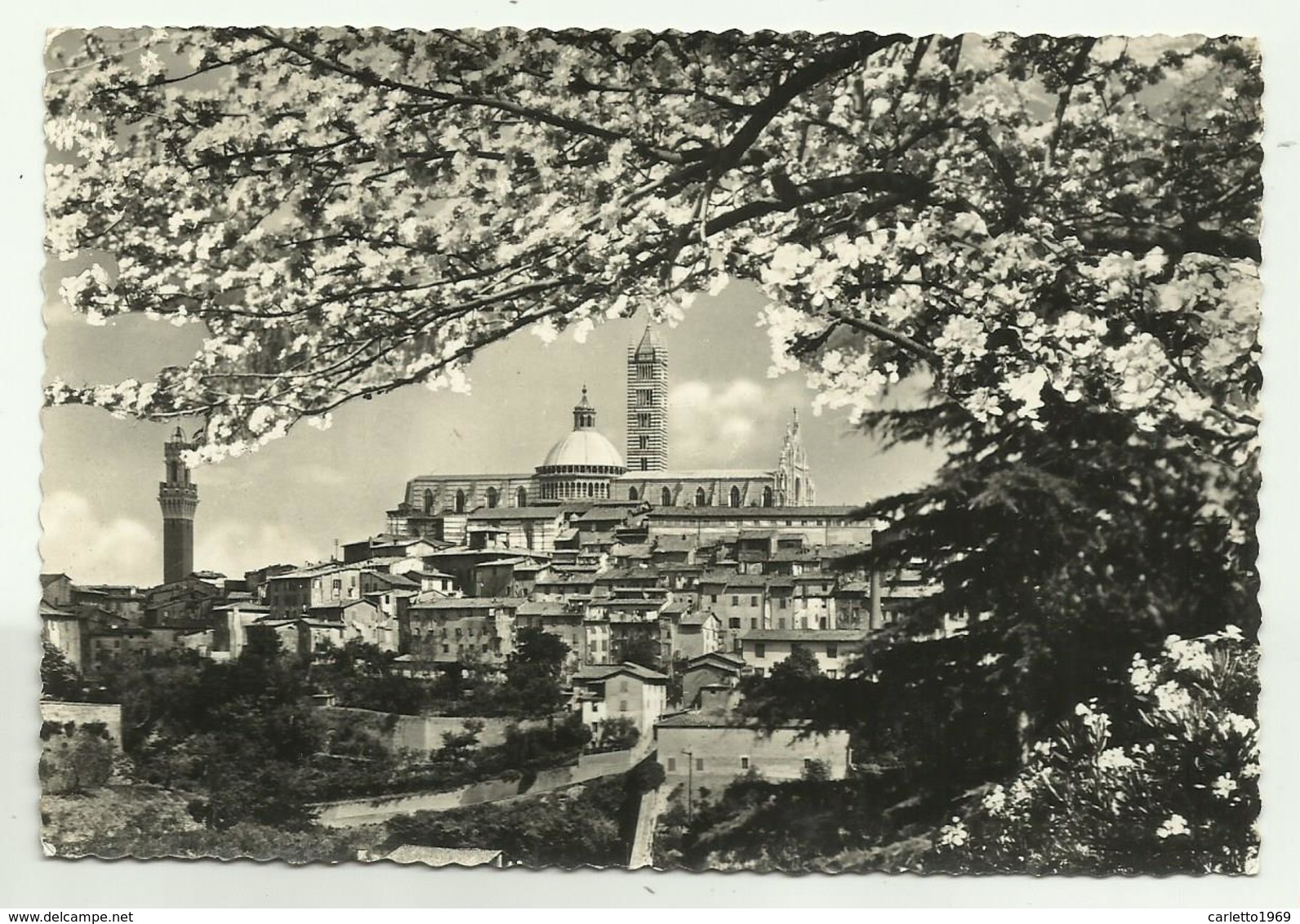 SIENA - PANORAMA    VIAGGIATA FG - Siena