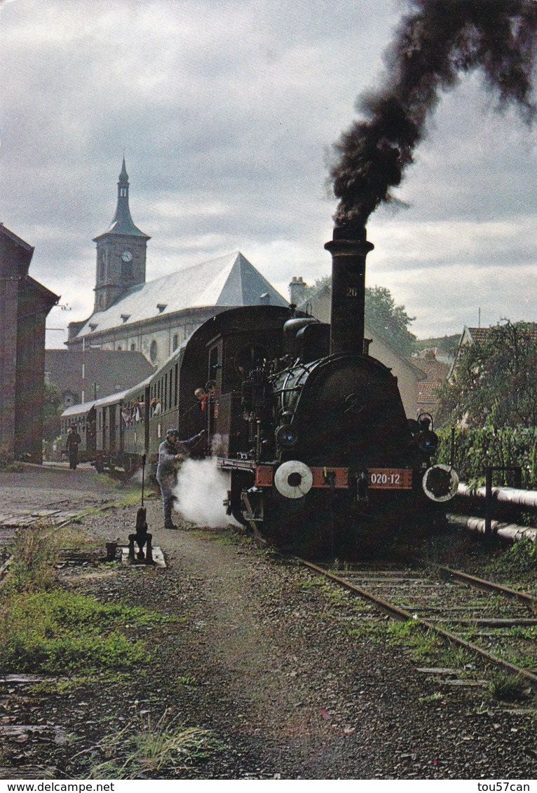 MOYENMOUTIER - VOSGES - (88)  - CPSM. - Trains