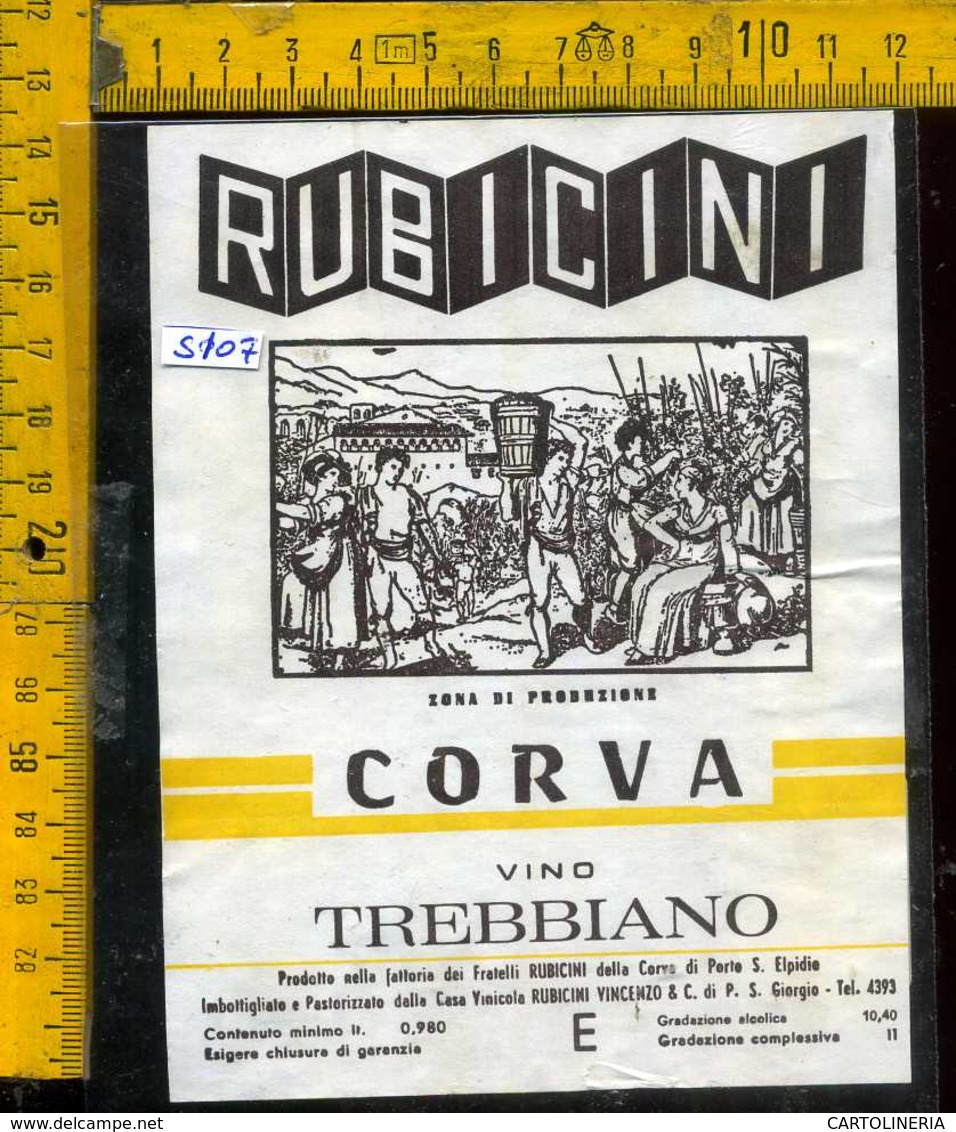 Etichetta Vino Liquore Trebbiano 1980 Fatt. Rubicini-Corva Di Porto S. Elpidio FM - Altri & Non Classificati