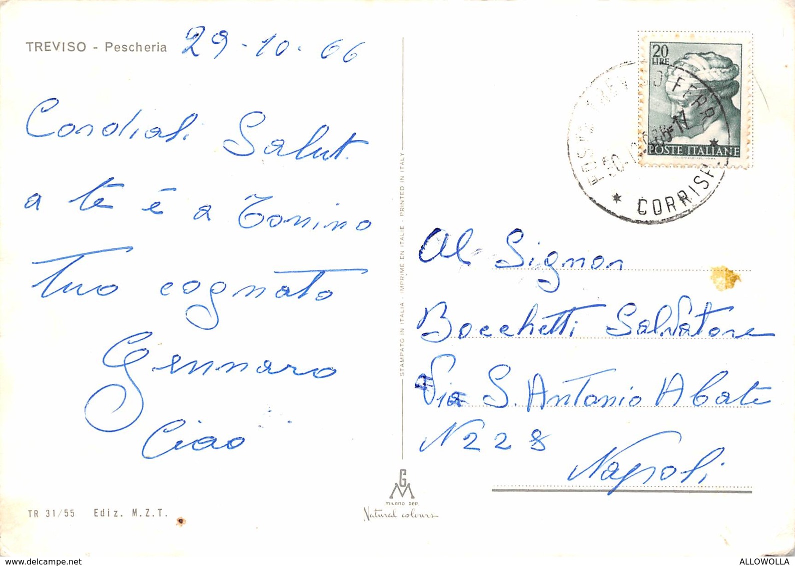 4687" TREVISO-PESCHERIA "ANIMATA-CART. ILL. POST. OR. SPED.1966 - Treviso