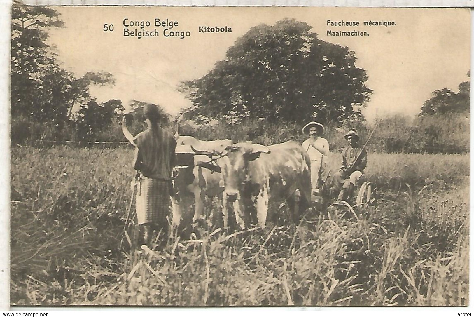 CONGO BELGA ENTERO POSTAL SELLO ADICIONAL DESPRENDIDO VACA BUEY COW AGRICULTURA - Vacas