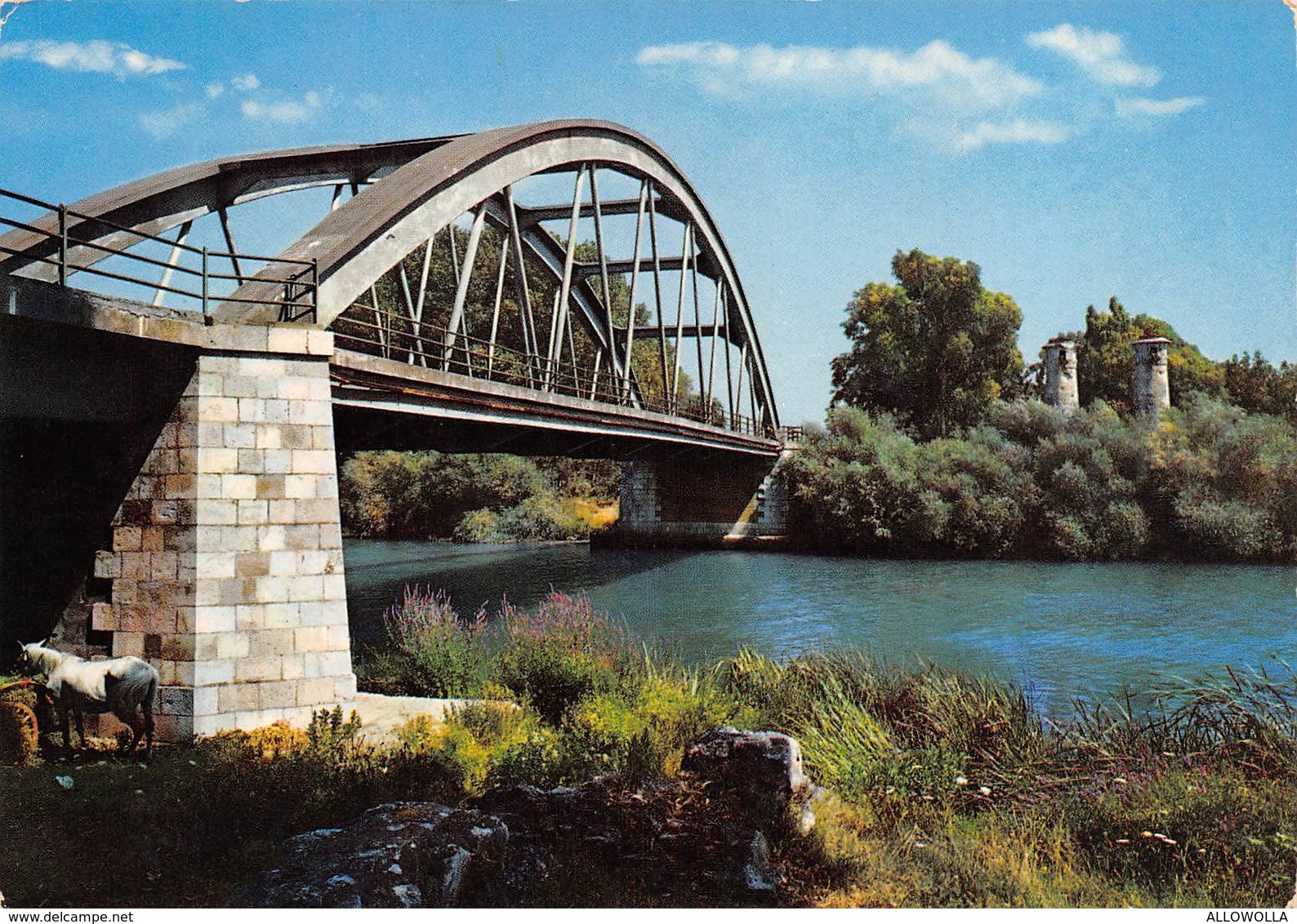 4696" SESSA AURUNCA (CASERTA) PONTE SUL GARIGLIANO "BRIDGE-CAVALLO BIANCO-CART. ILL. POST. OR. SPED.1980 - Altri & Non Classificati