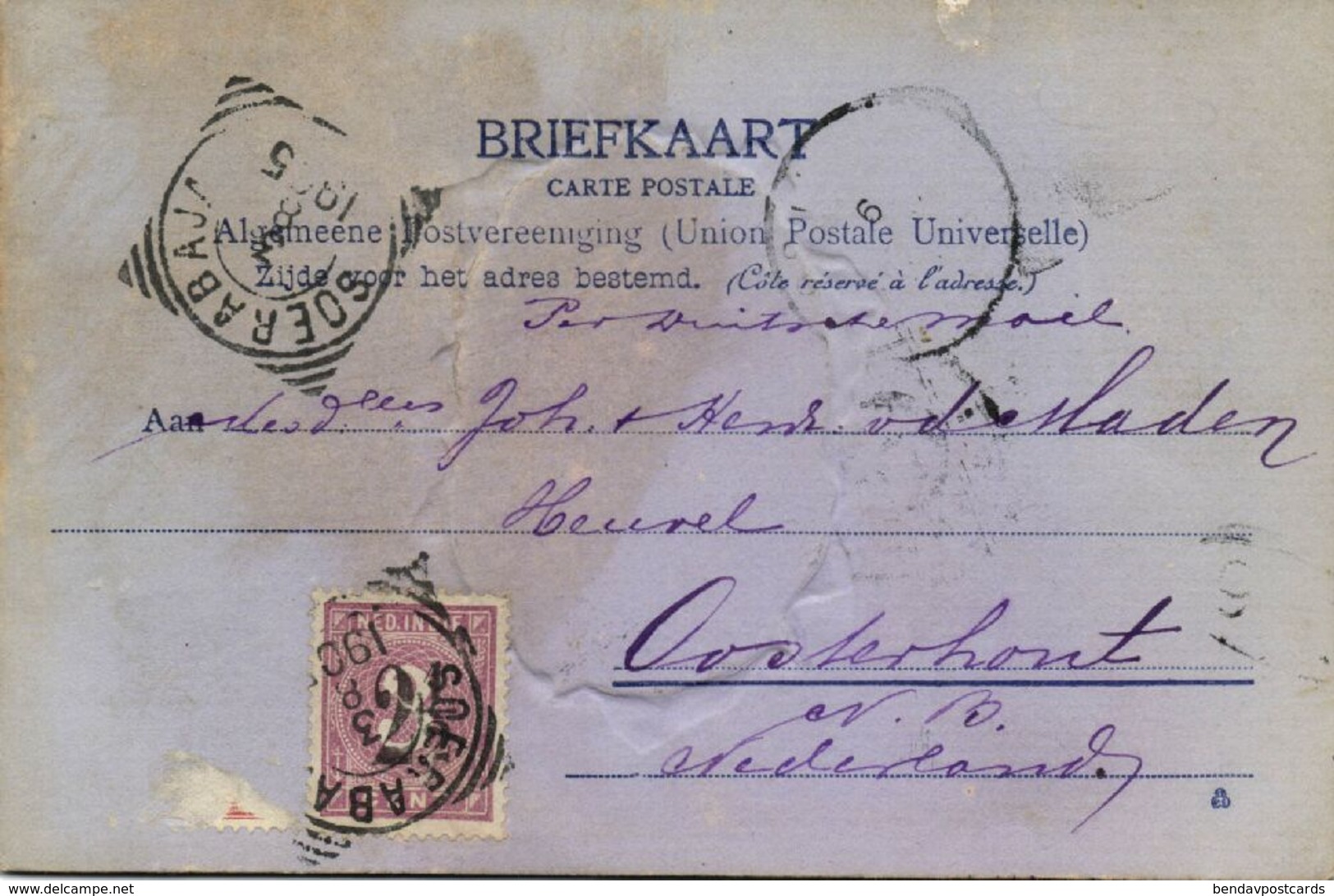 Indonesia, JAVA SOERABAIA, Newspaper Postcard Soerabaiasch-Handelsblad 1905 RPPC - Indonesië