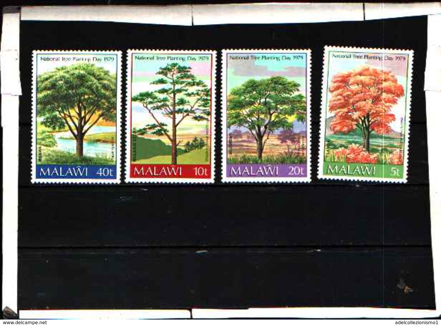 5921BIS ) Malawi Flora Africana Alberi Set 1979 -MNH** - Malawi (1964-...)