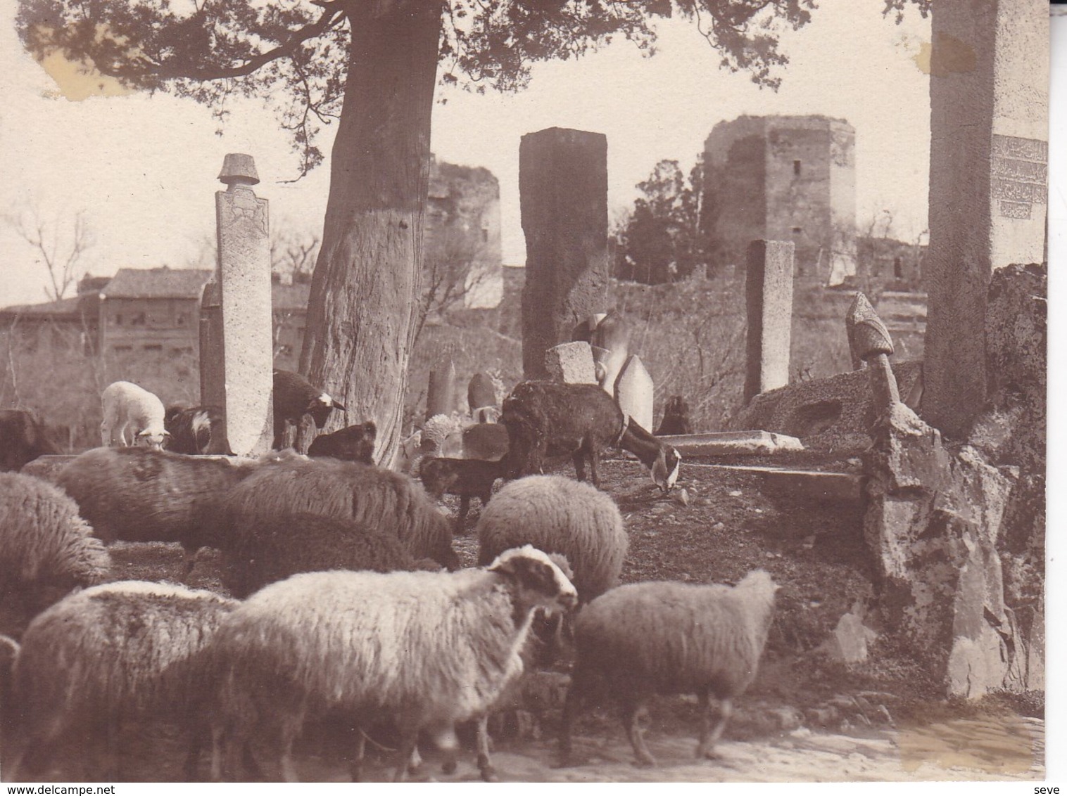 TURQUIE 1925 Constantinople Istanbul Le Cimetière  Photo Amateur Format Environ 7,5 Cm X 4,0 Cm - Lieux