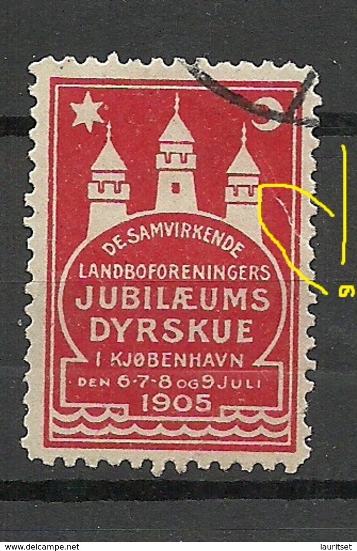 DENMARK 1905 Reklamemarke Kobenhavn Vignette O NB! Tear At Right Margin! Einriss Am Rand! - Vignetten (Erinnophilie)