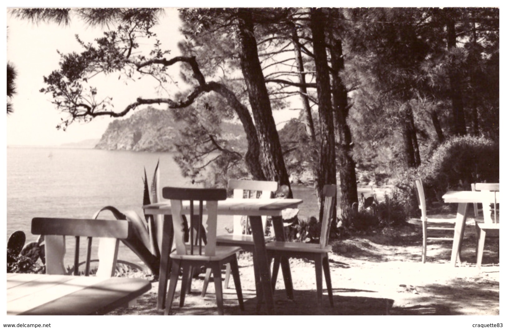 HOTEL "LE BORD DE MER"  LE CANADEL  -LA MER VUE DE LA TERRASSE    CPSM PF - Publicité