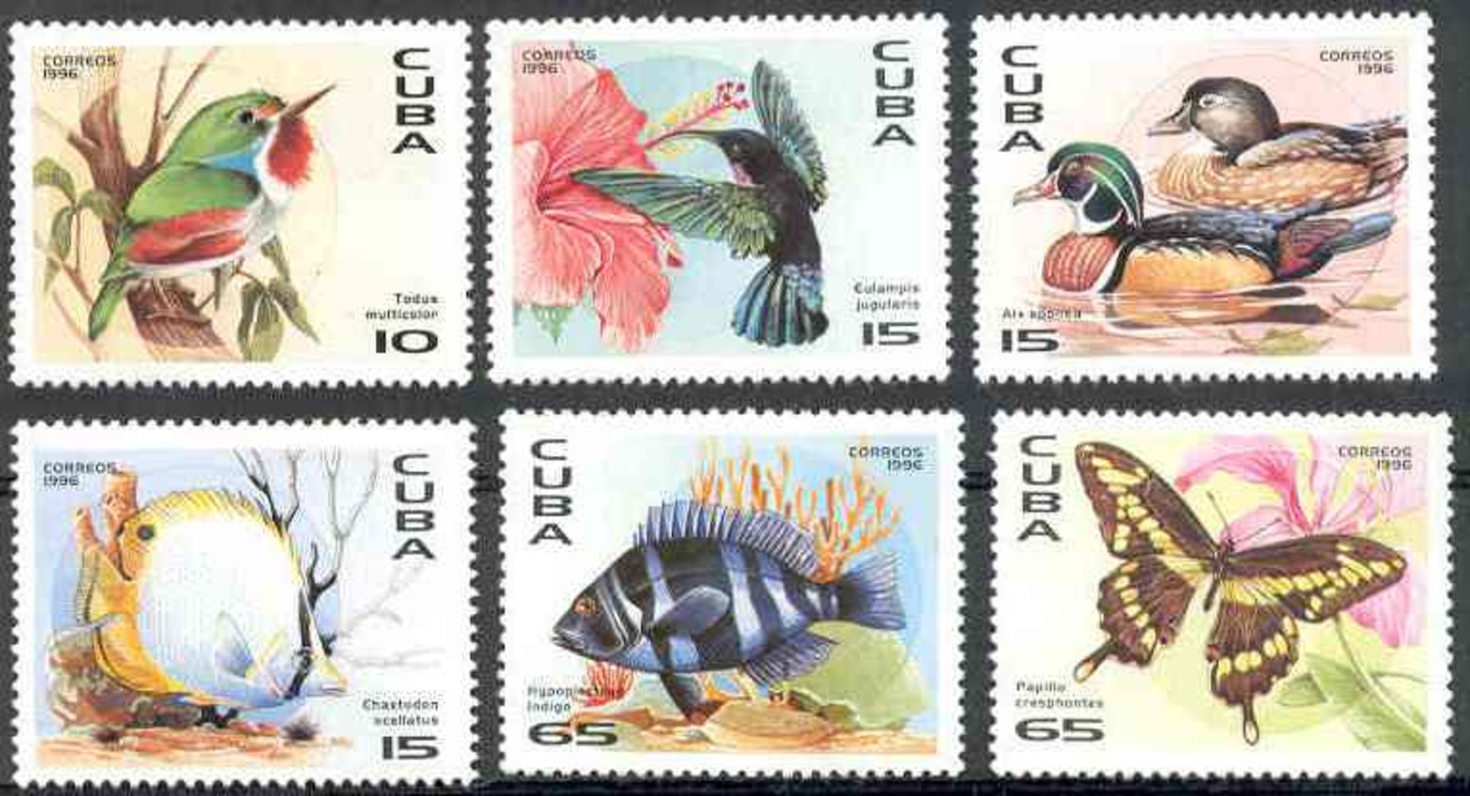 Cuba 1996 Fauna Of The Caribbean MNH Scott 3748-3753 Value $4.00 - Colibríes