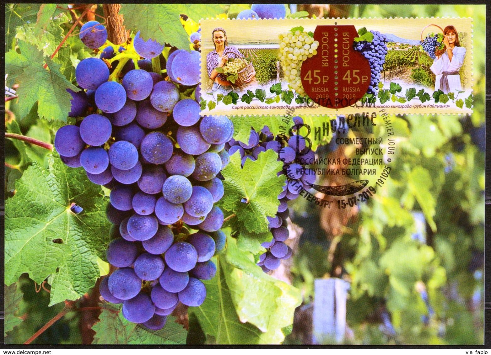 Russia 2019 RUSIA RUSSIE RUSSLAND BULGARIA Joint WINE VINE GRAPES GRAPE Maximum Cards - Maximumkarten