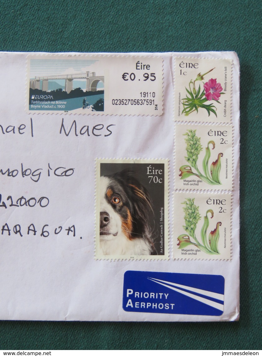 Ireland 2019 Cover To Nicaragua - Flowers - Europa CEPT Bridge - Dog - Storia Postale