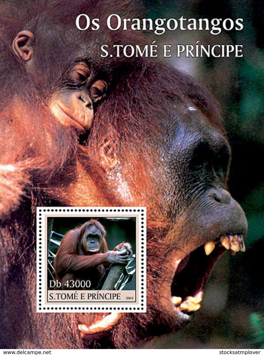 Sao Tome 2004 Fauna  Orangutan - Sao Tome And Principe