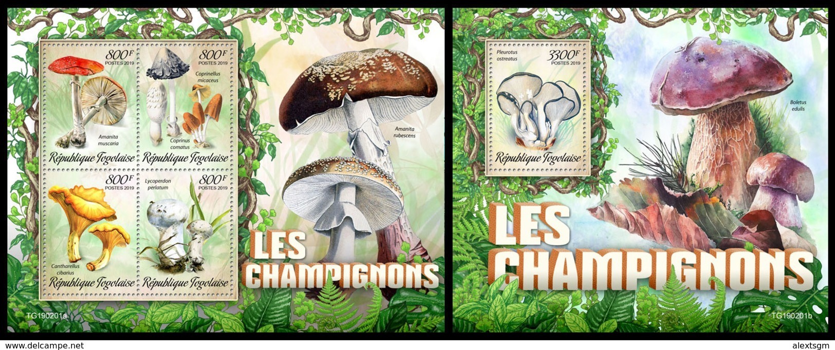 TOGO 2019 - Mushrooms. M/S + S/S Official Issue [TG190201] - Funghi