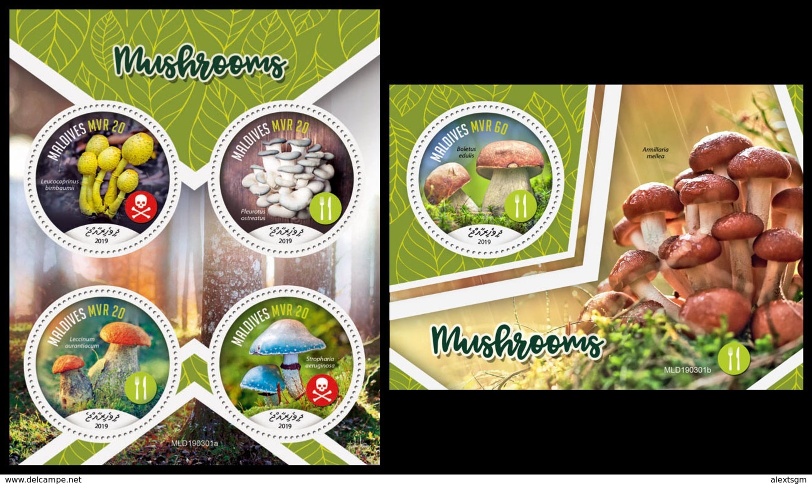 MALDIVES 2019 - Mushrooms. M/S + S/S Official Issue [MLD190301] - Hongos