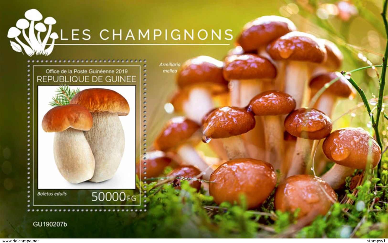 Guinea. 2019 Mushrooms. (0207b)  OFFICIAL ISSUE - Funghi