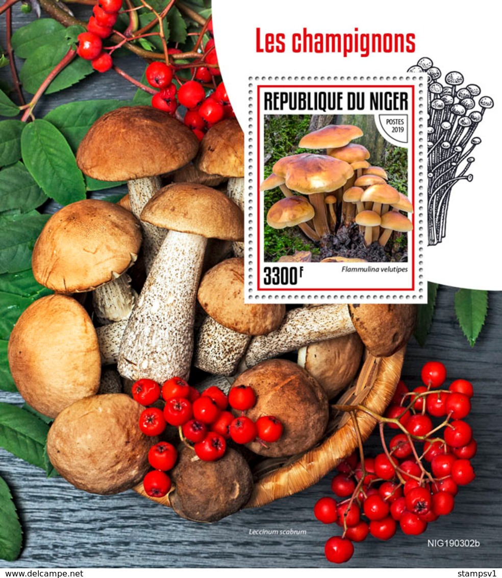 Niger. 2019 Mushrooms. (0302b)  OFFICIAL ISSUE - Funghi