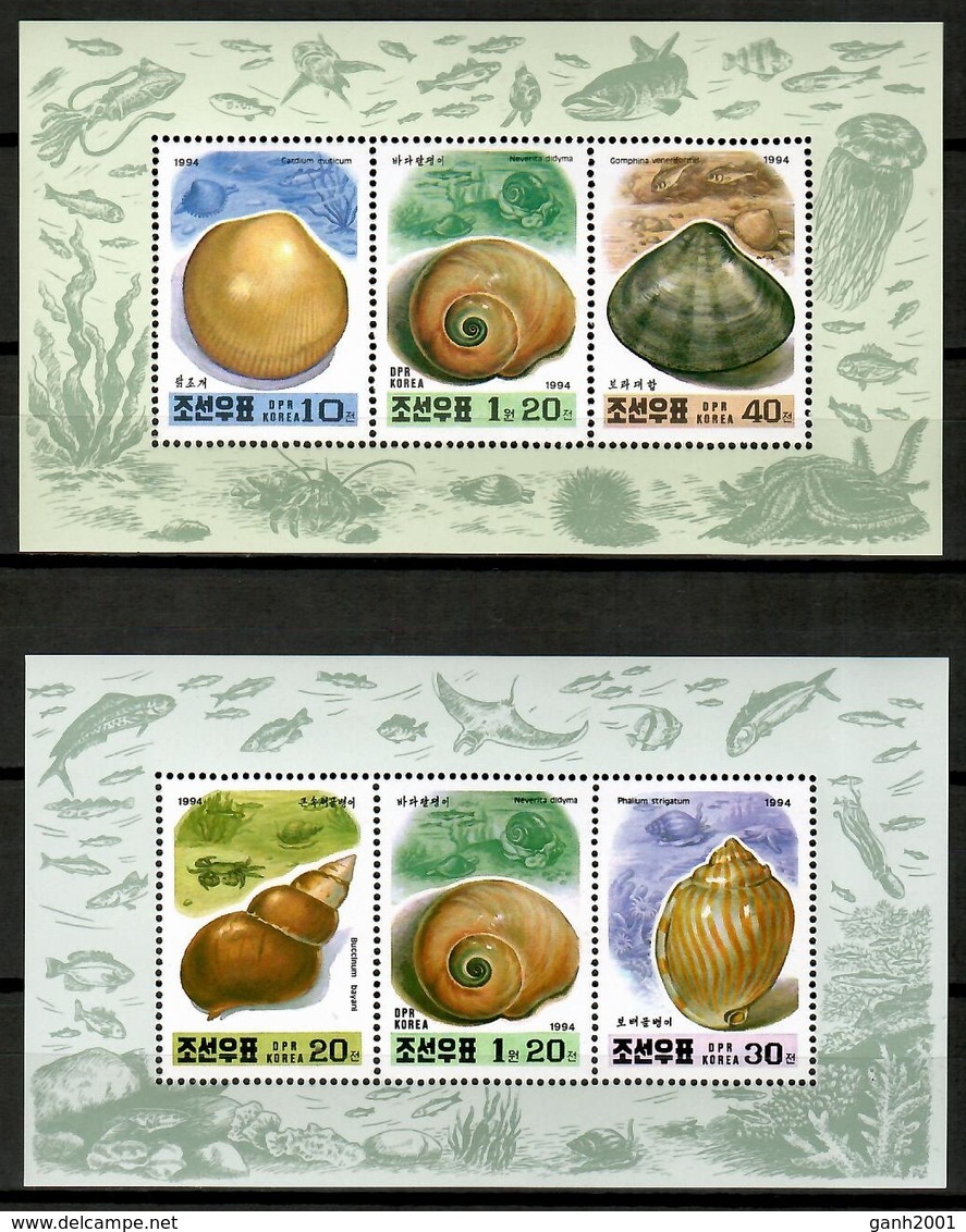 Korea North 1994 Corea / Shells MNH Caracolas Conchas Muscheln / Cu12723  36-3 - Conchas