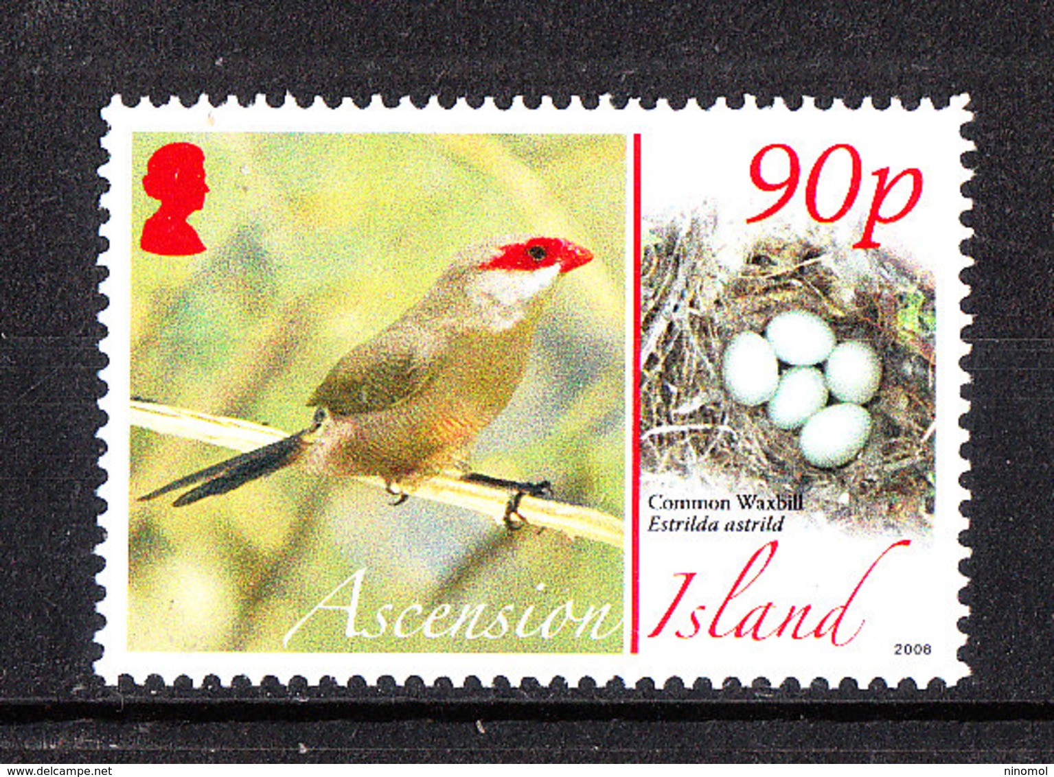 Ascension - 2008. Astrid, Passero Testa Rossa. Astrid, Red Head Sparrow. MNH - Moineaux