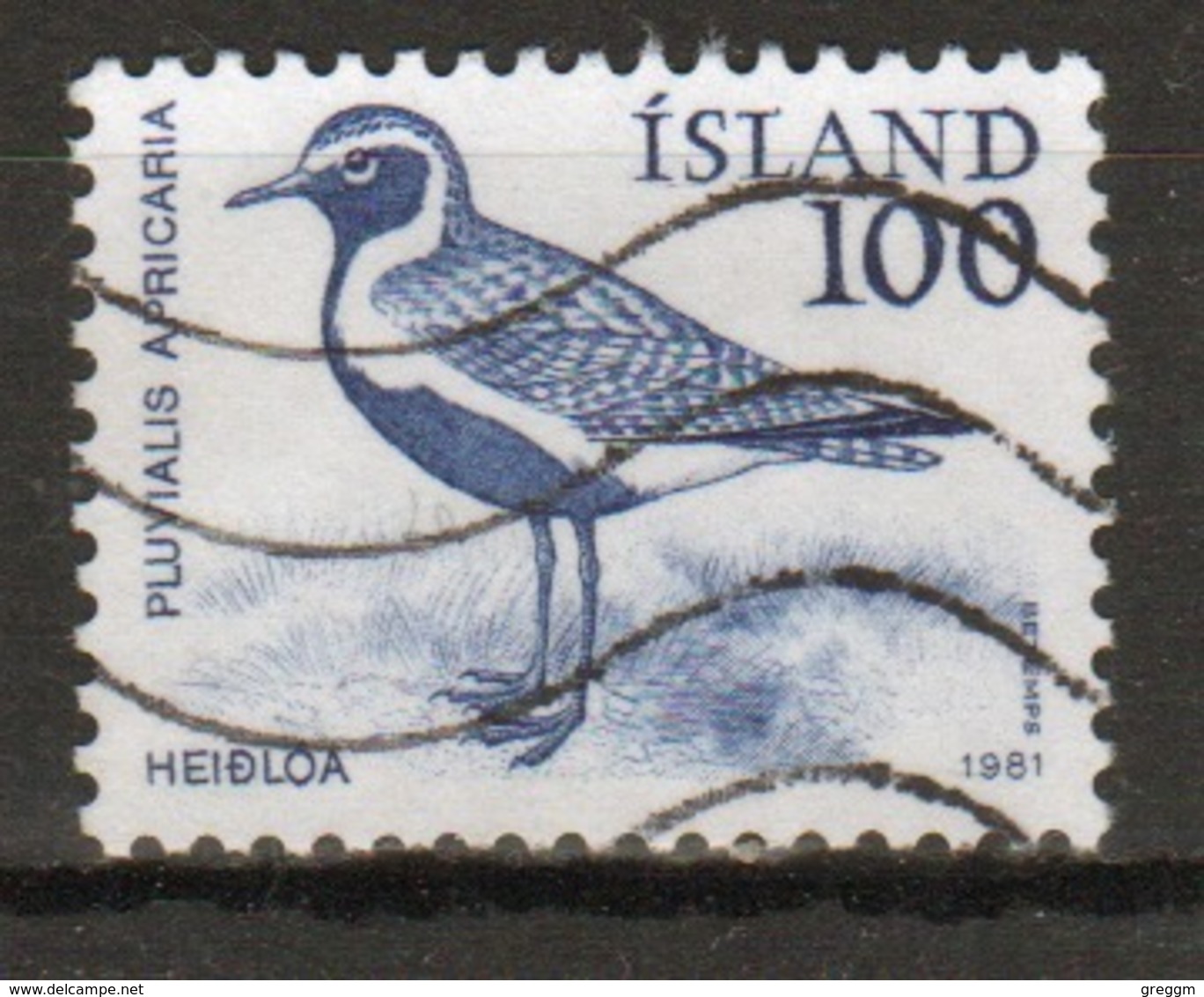 Iceland 1981 Single 100a Stamp From The Bird Set. - Used Stamps