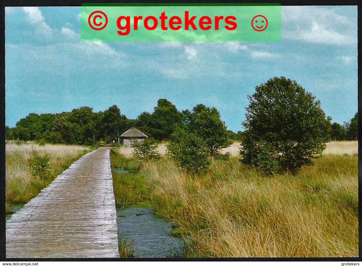 MEIJEL Natuurreservaat De Groote Peel 1981 - Andere & Zonder Classificatie