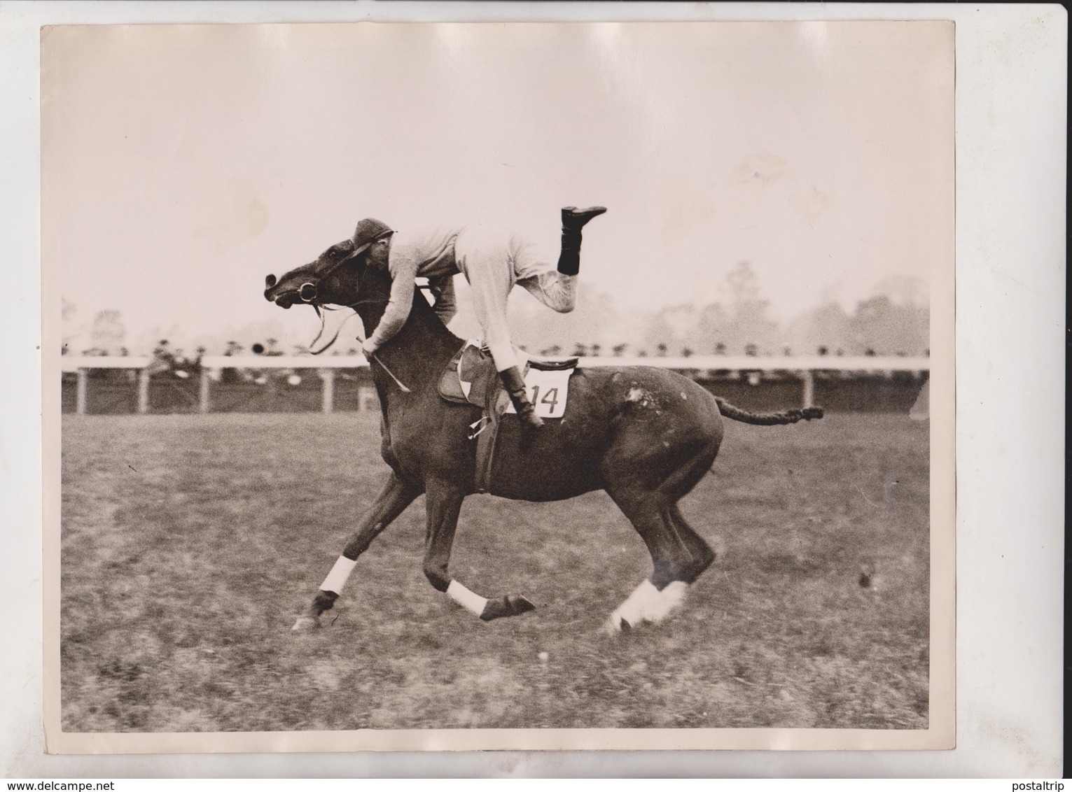 Sandown Park Racecourse STEEPLECHASE  Esher, Surrey, England HORSE RACING +- 25*20CM Fonds Victor FORBIN (1864-1947) - Deportes