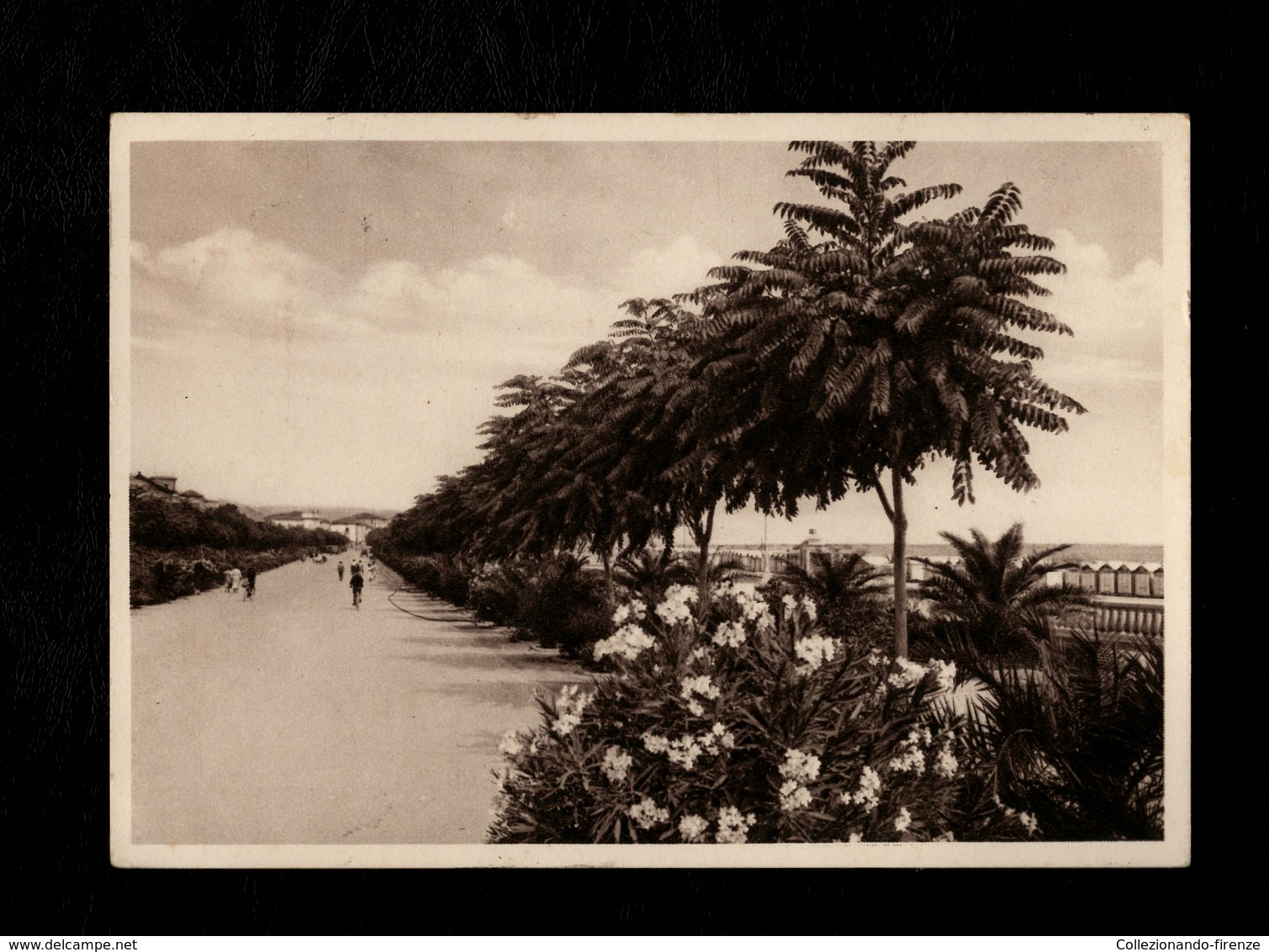 Cartolina San Benedetto Del Tronto Stazione Cura Soggiorno E Turismo - Ascoli Piceno