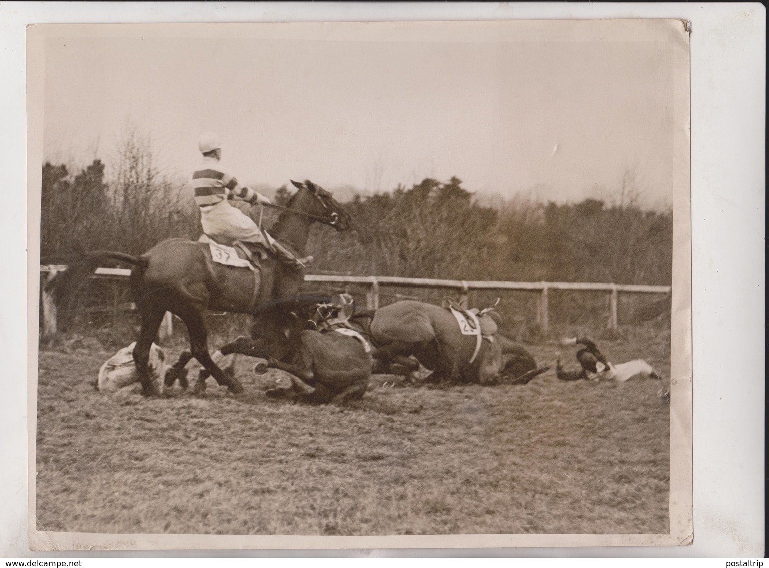 RACING AT LINGFIELD SURREY ENGLAND  Racecourse Horse-racing  CHEVAL +- 25*20CM Fonds Victor FORBIN (1864-1947) - Deportes