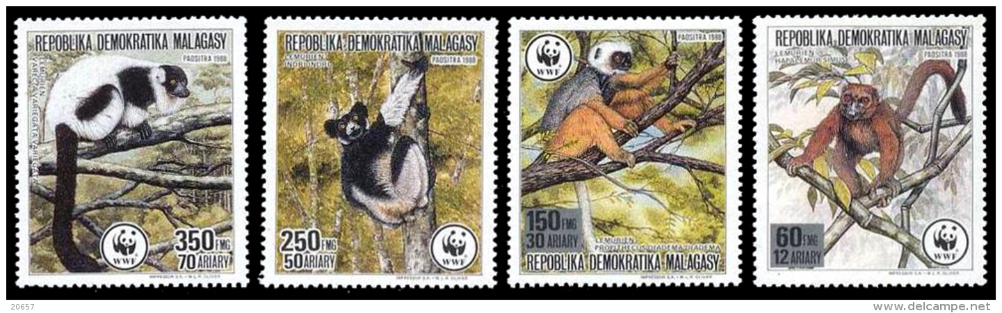 Madagascar 0841/44 Lémuriens Wwf - Unused Stamps